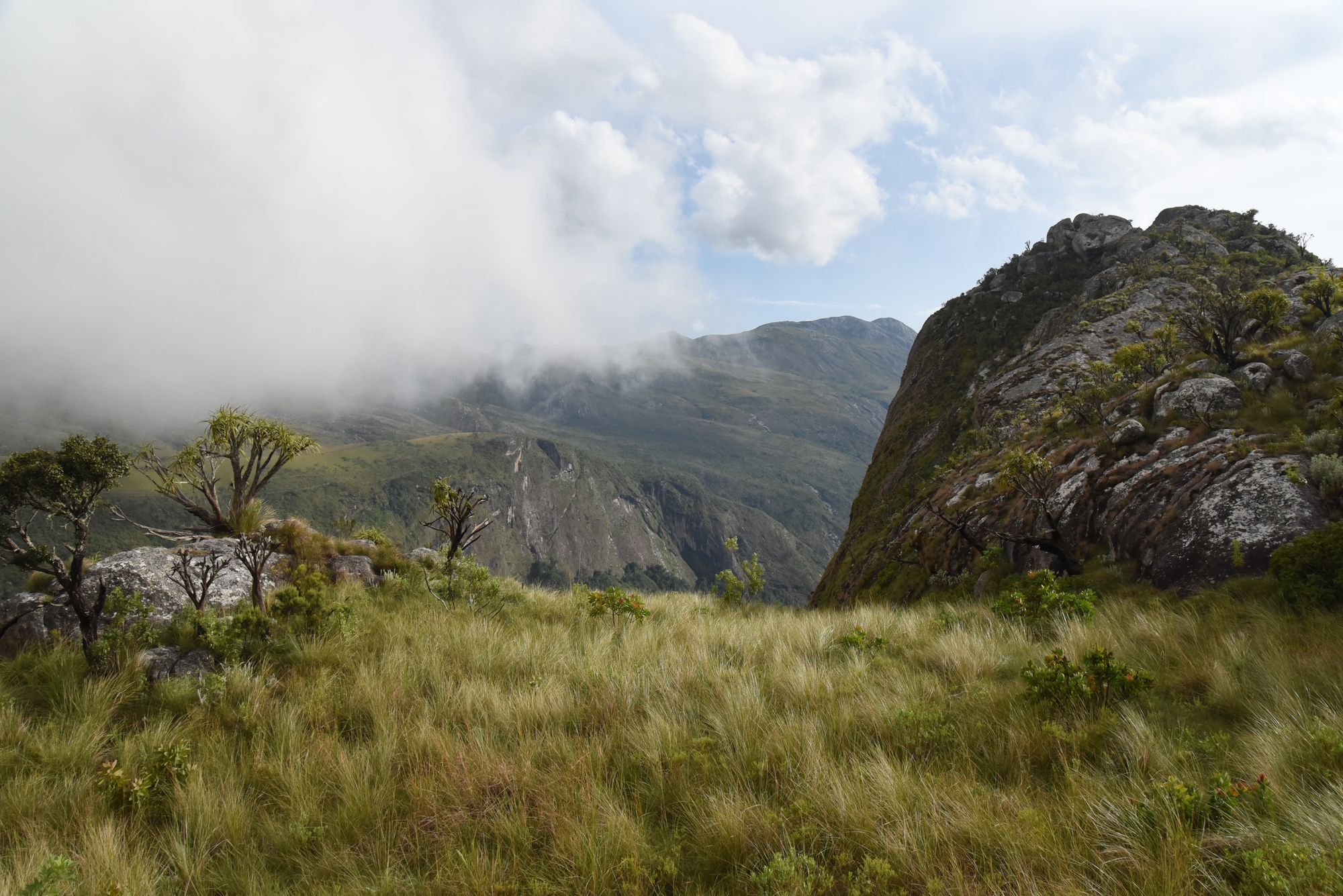 Grassland and granite peaks under cloud